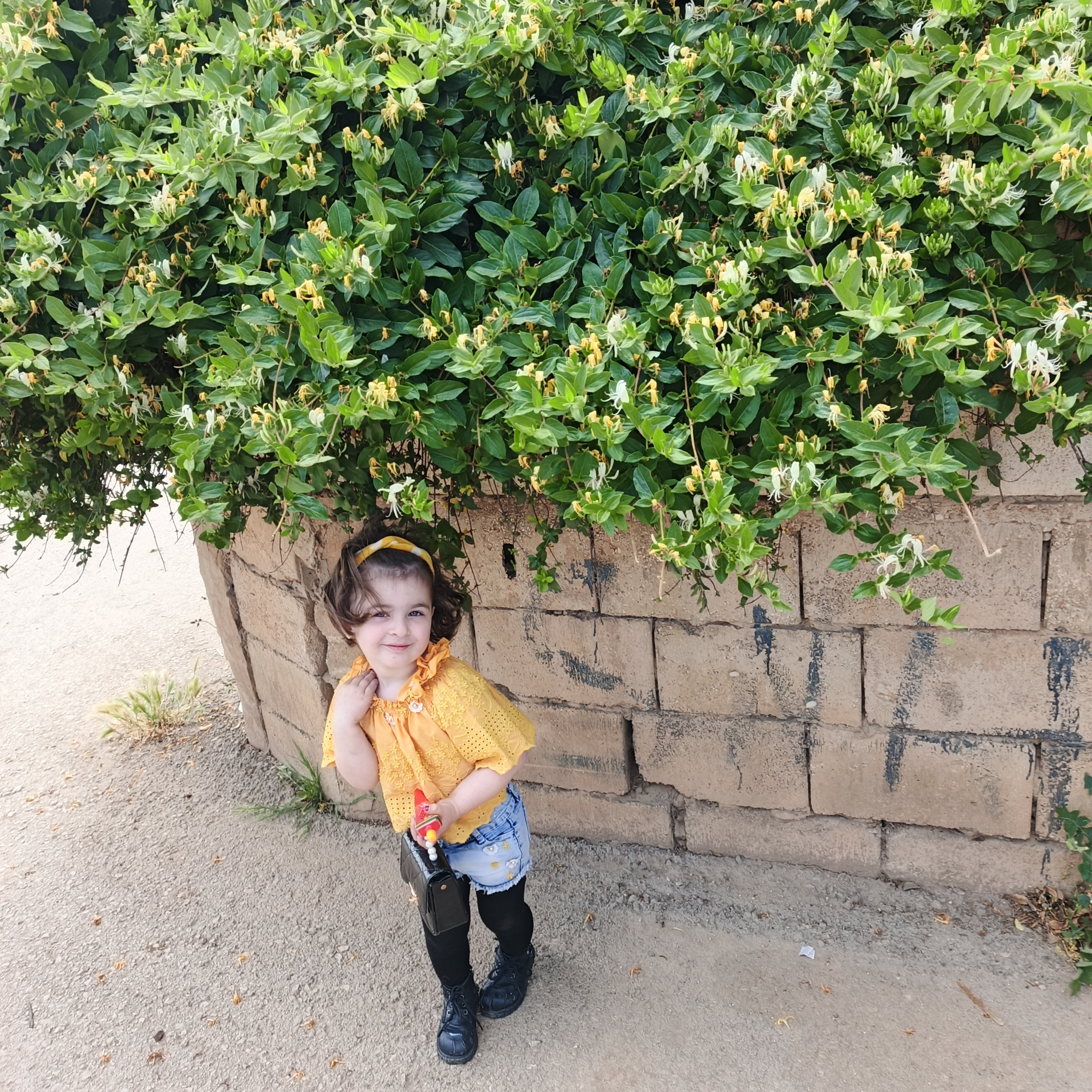 أسينات جهادالحماده photo 2