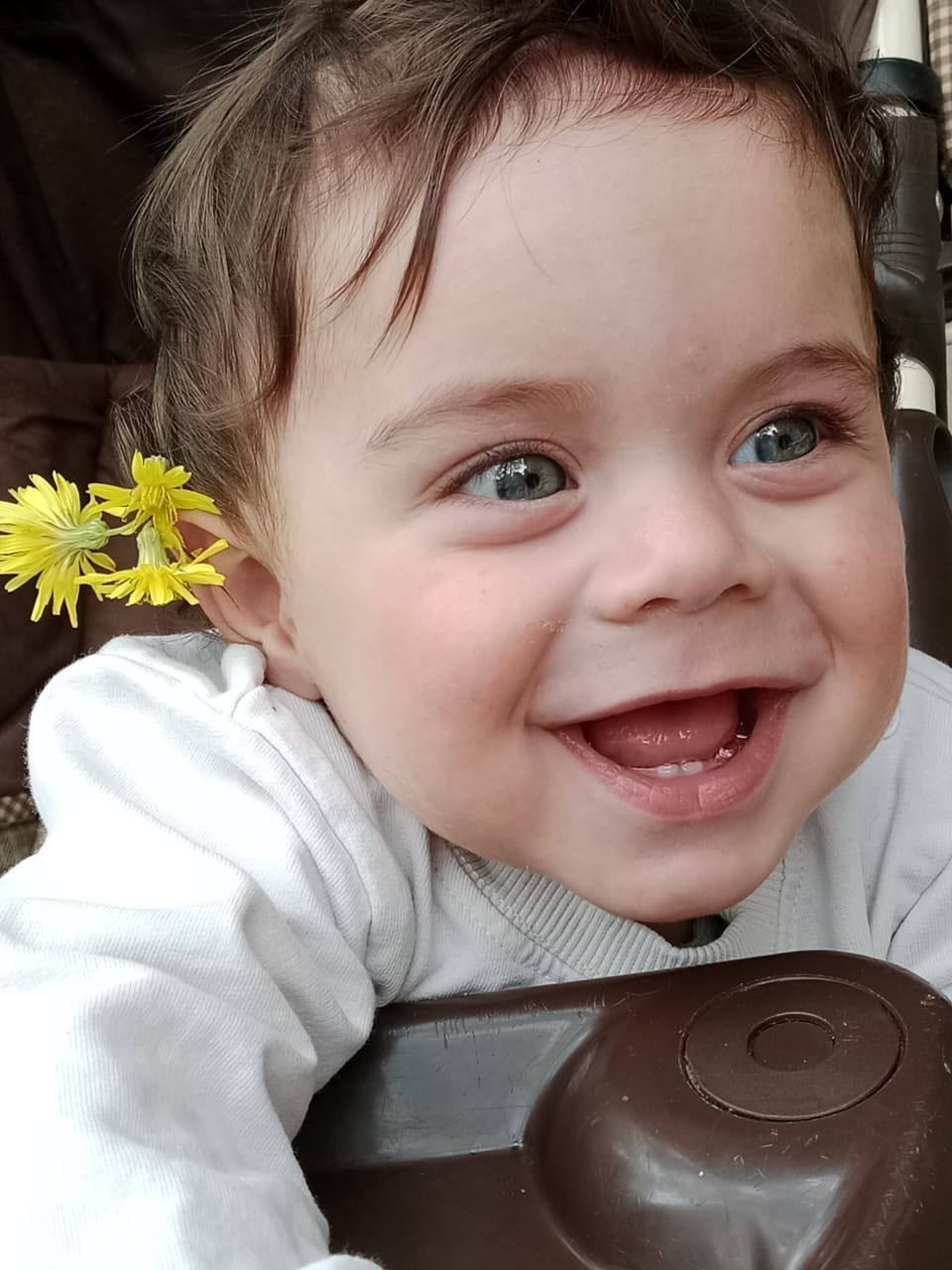 Ibrahim khalil shaer photo 5