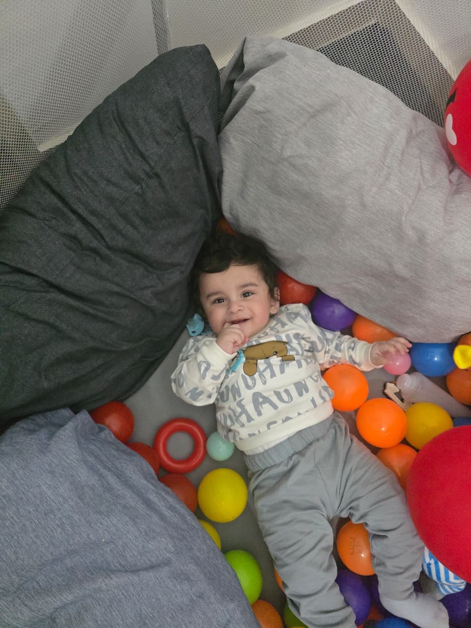 Ali itani photo 6