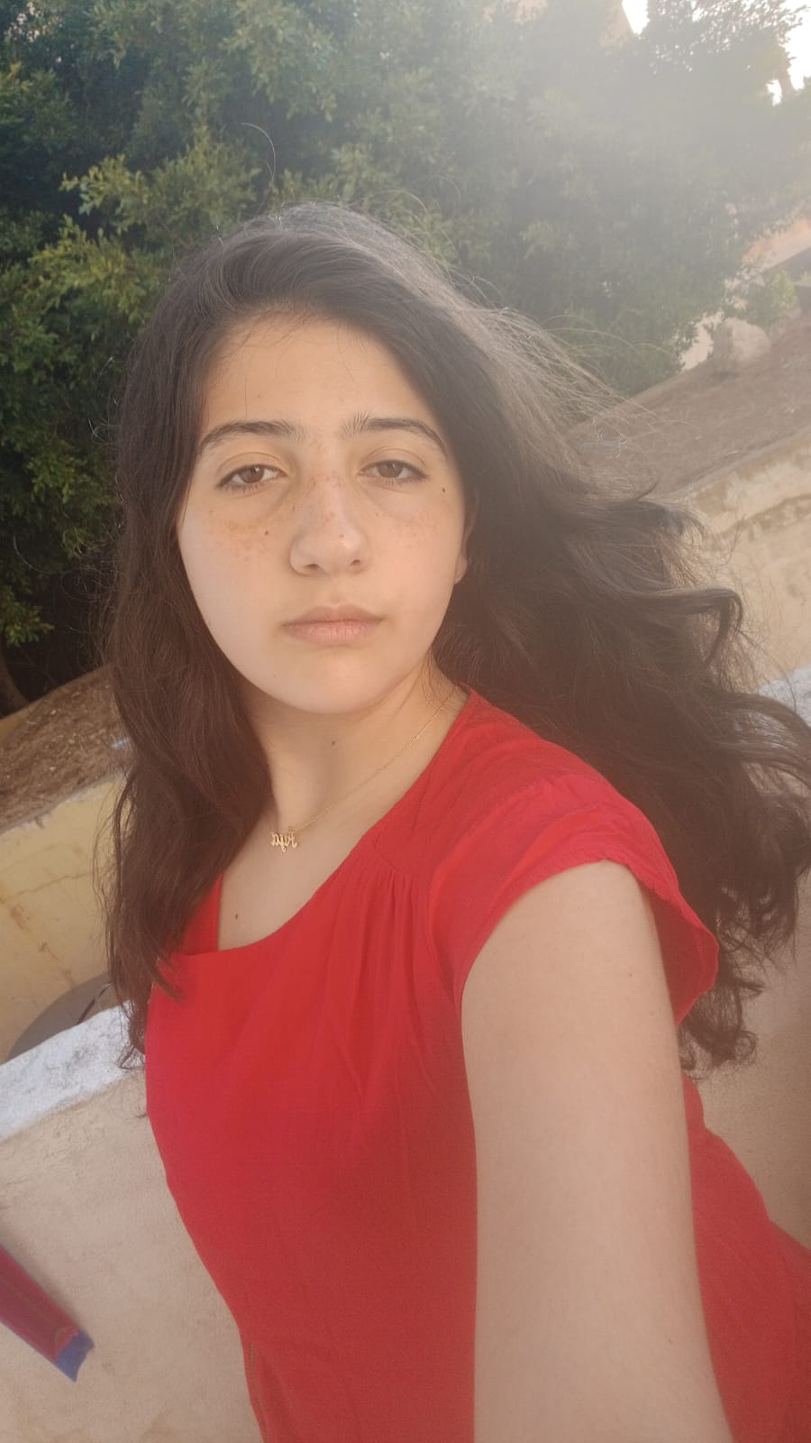 Aya Mohammad Hussein