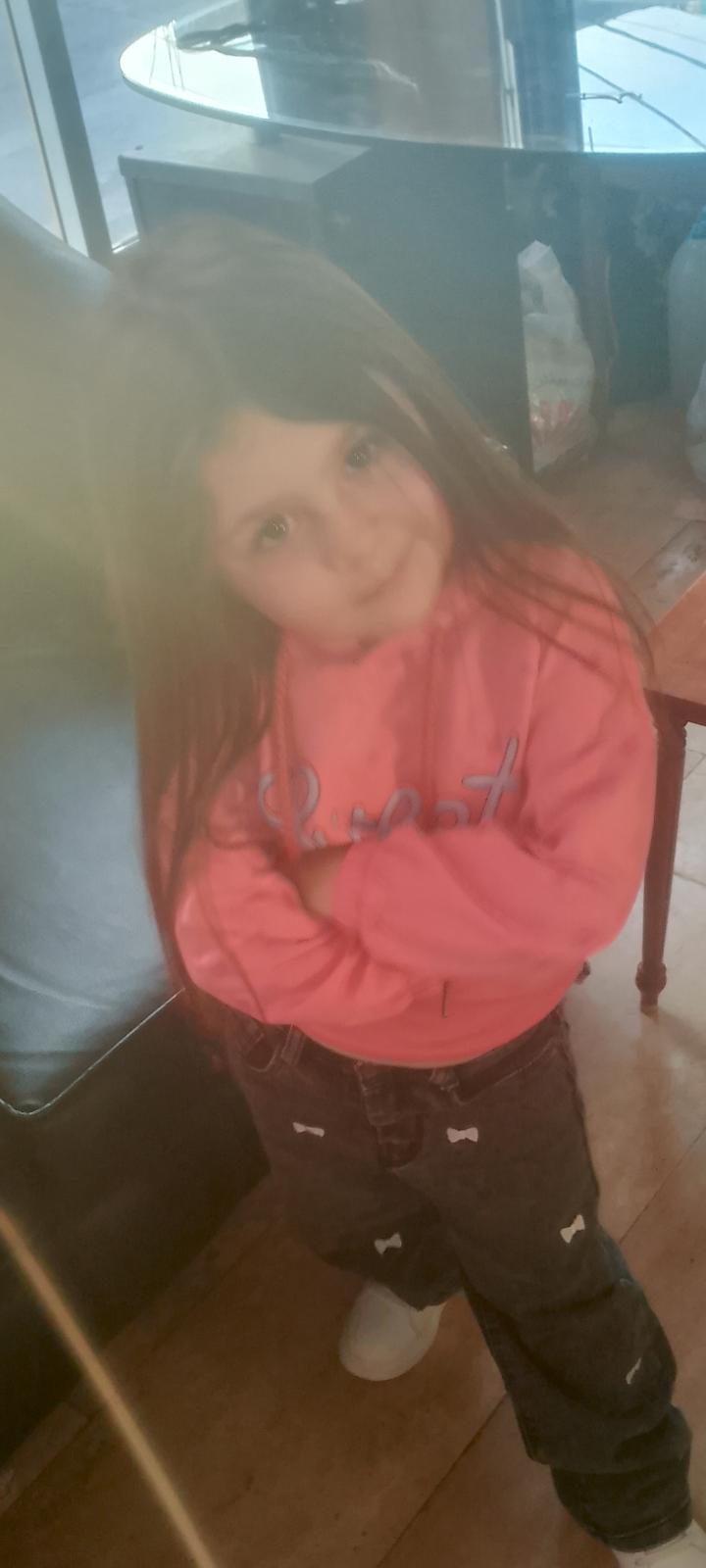 Lariene ahmad shehadi photo 2