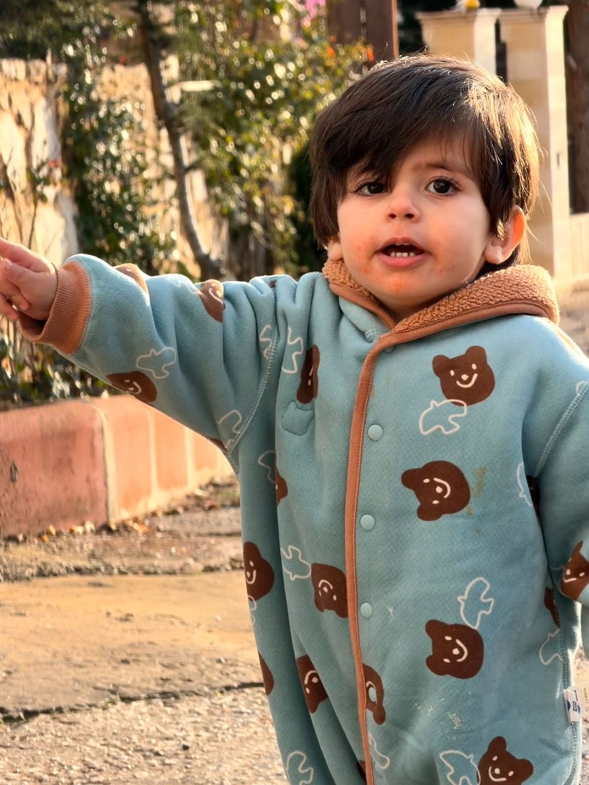 Ali ahmad meslmani photo 1