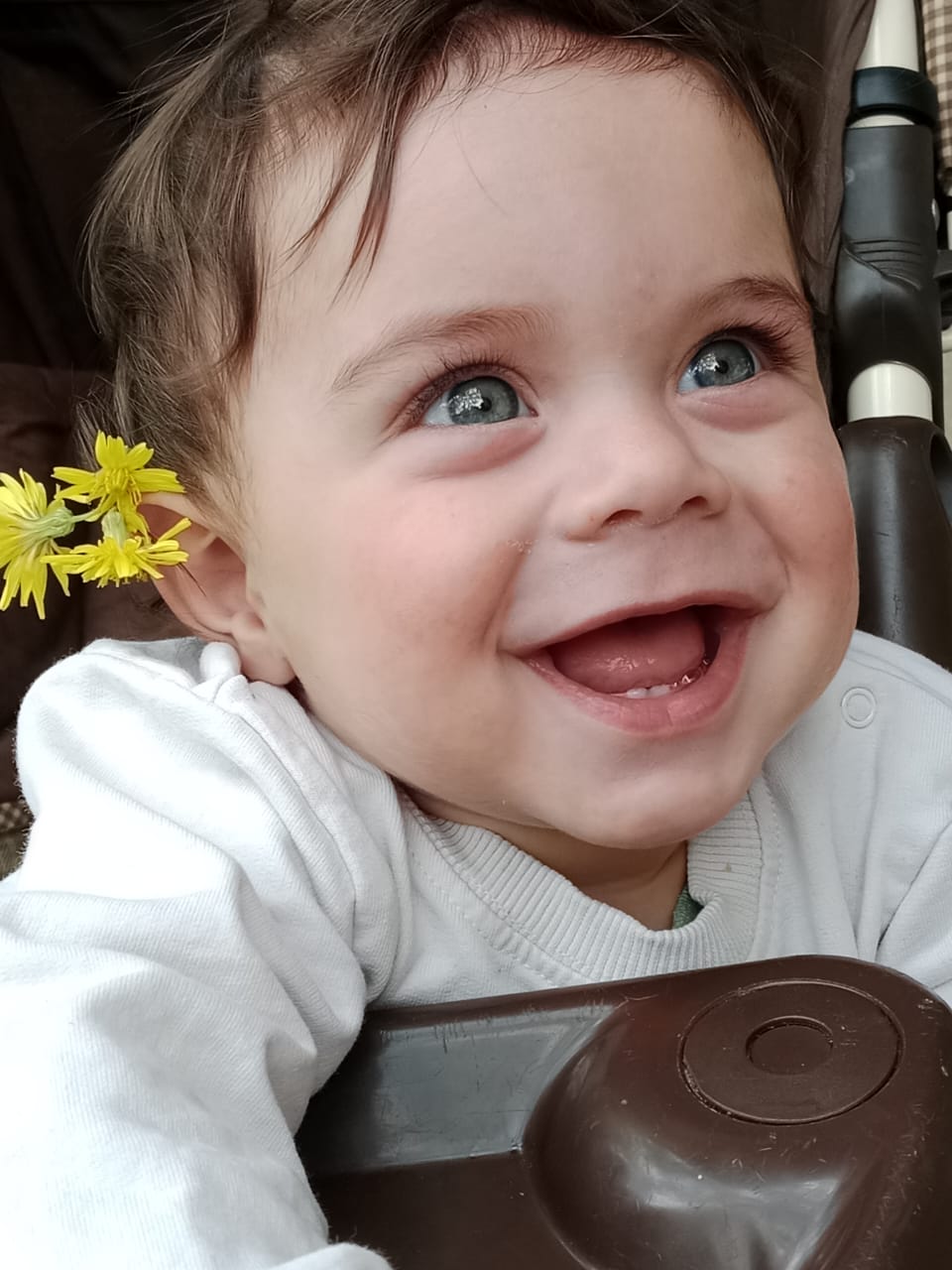 Ibrahim khalil shaer photo 2