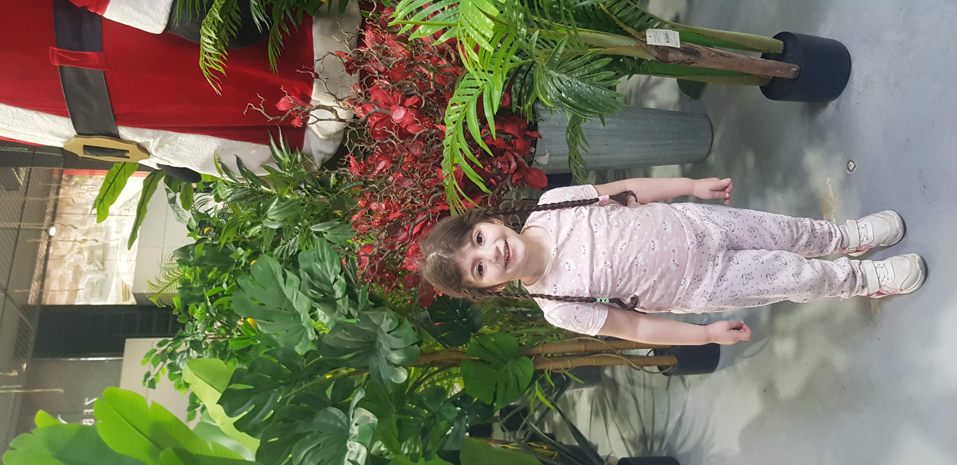 Lamitta homsi photo 4